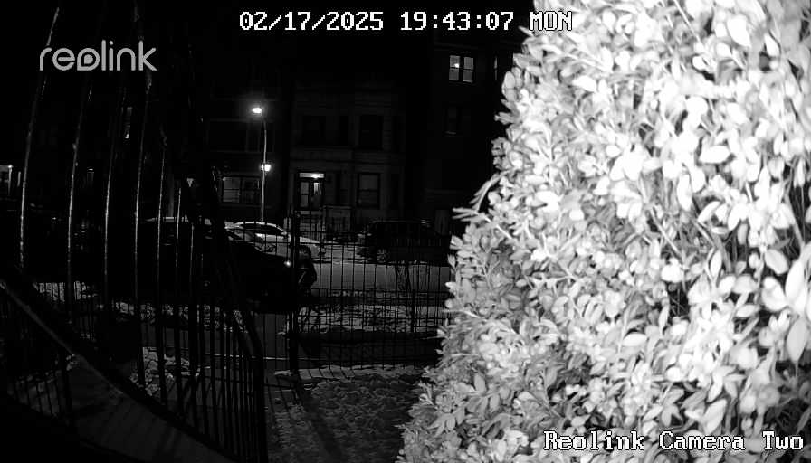 Reolink Camera Two_01_Reolink Home Hub One_20250217194307.jpg